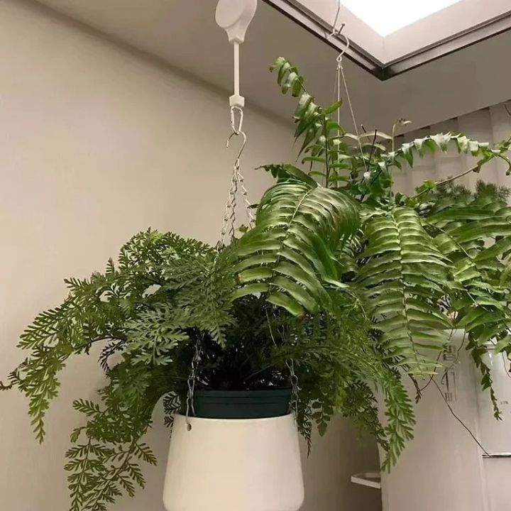Easy plant hanging set (1+1 FREE TODAY!)