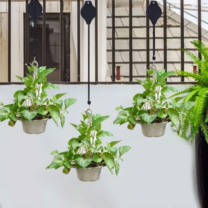 Easy plant hanging set (1+1 FREE TODAY!)