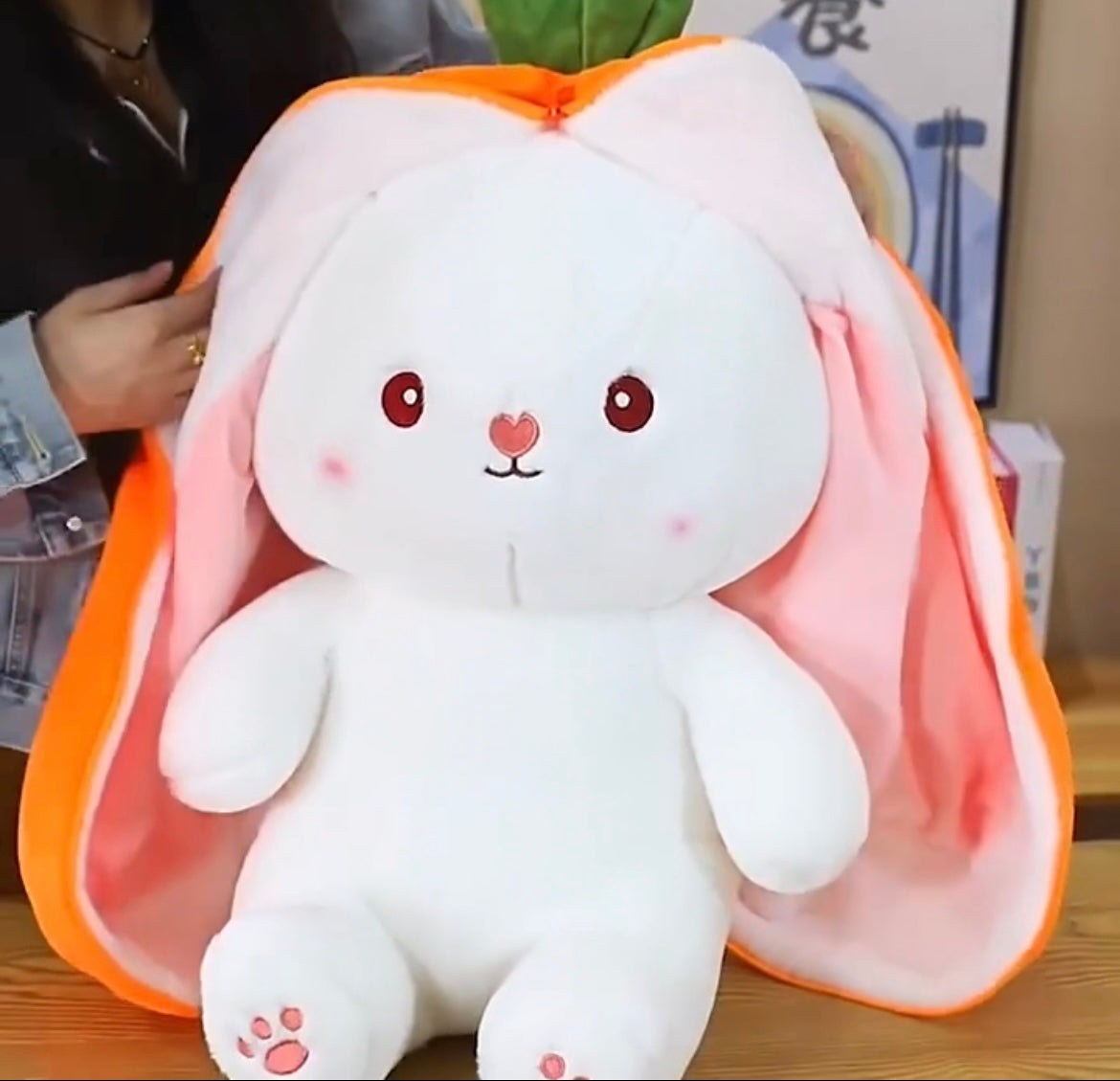 Plush Rabbit