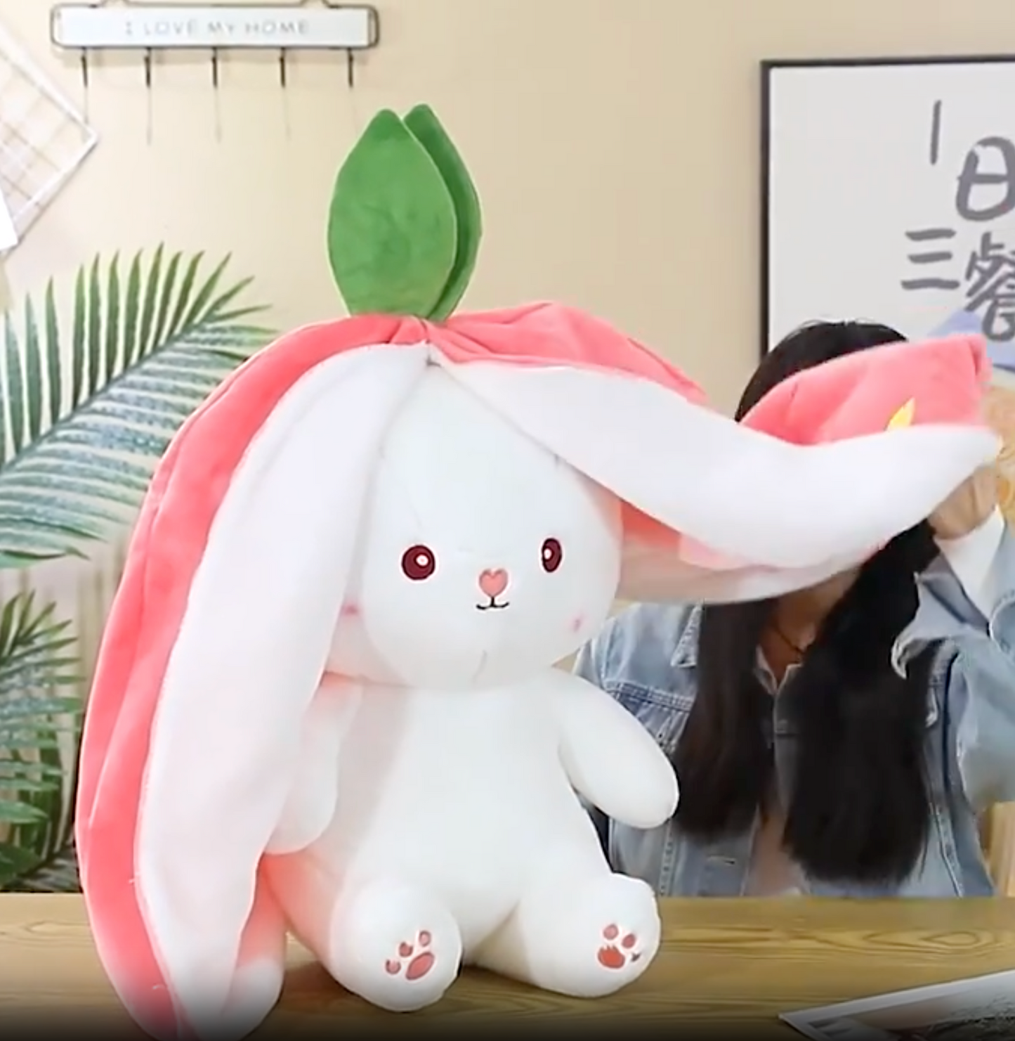 Plush Rabbit