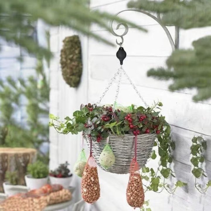 Easy plant hanging set (1+1 FREE TODAY!)