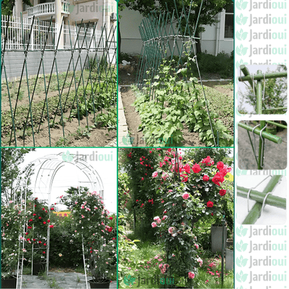 Pack of Plant Connection Loops - Ultra-Resistant